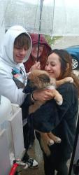 GPAR :: Grupo de Protección Animal de Rute