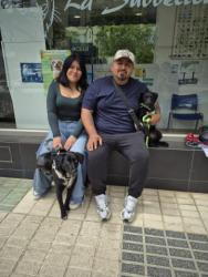 GPAR :: Grupo de Protección Animal de Rute