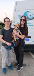 GPAR :: Grupo de Protección Animal de Rute