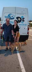 GPAR :: Grupo de Protección Animal de Rute