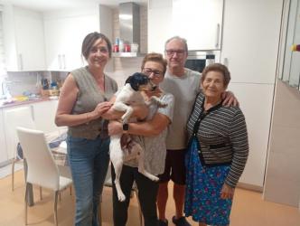 GPAR :: Grupo de Protección Animal de Rute