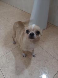 GPAR :: Grupo de Protección Animal de Rute