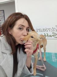 GPAR :: Grupo de Protección Animal de Rute