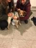 GPAR :: Grupo de Protección Animal de Rute