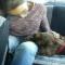 GPAR :: Grupo de Protección Animal de Rute
