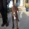GPAR :: Grupo de Protección Animal de Rute